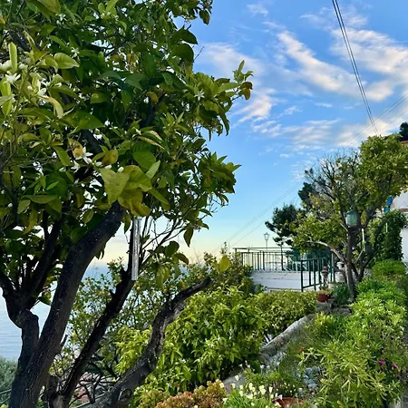 With Stunning Views